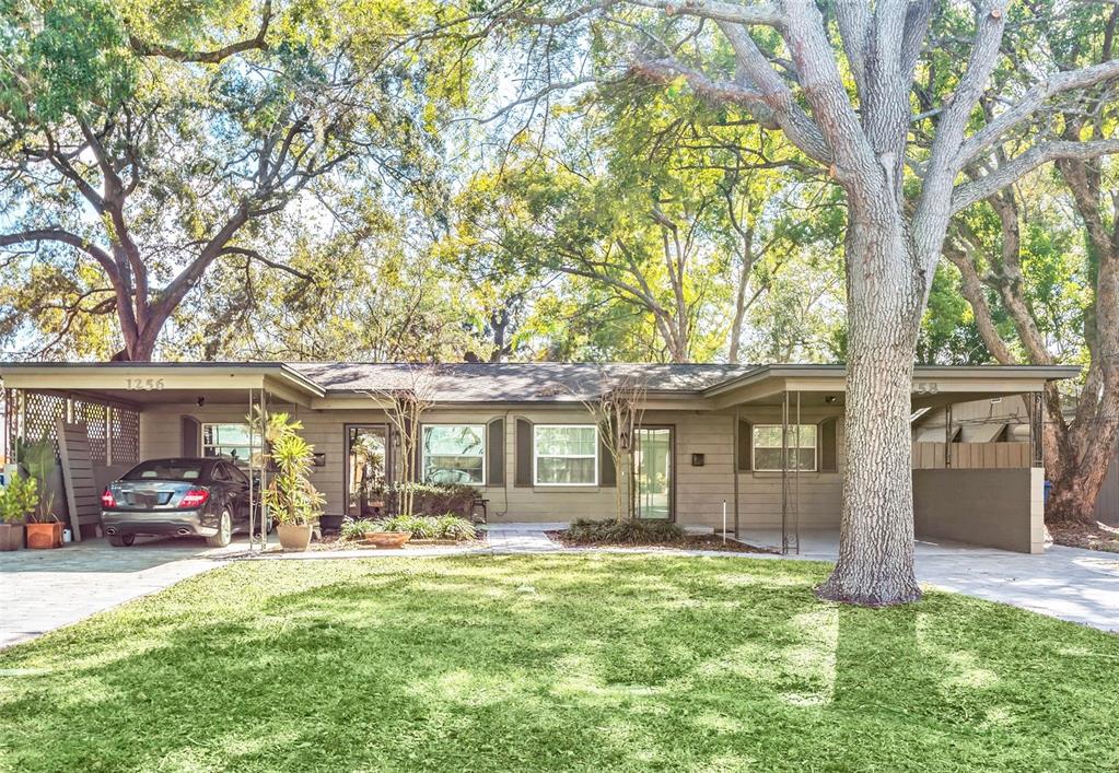 MAGNOLIA SUB - фото