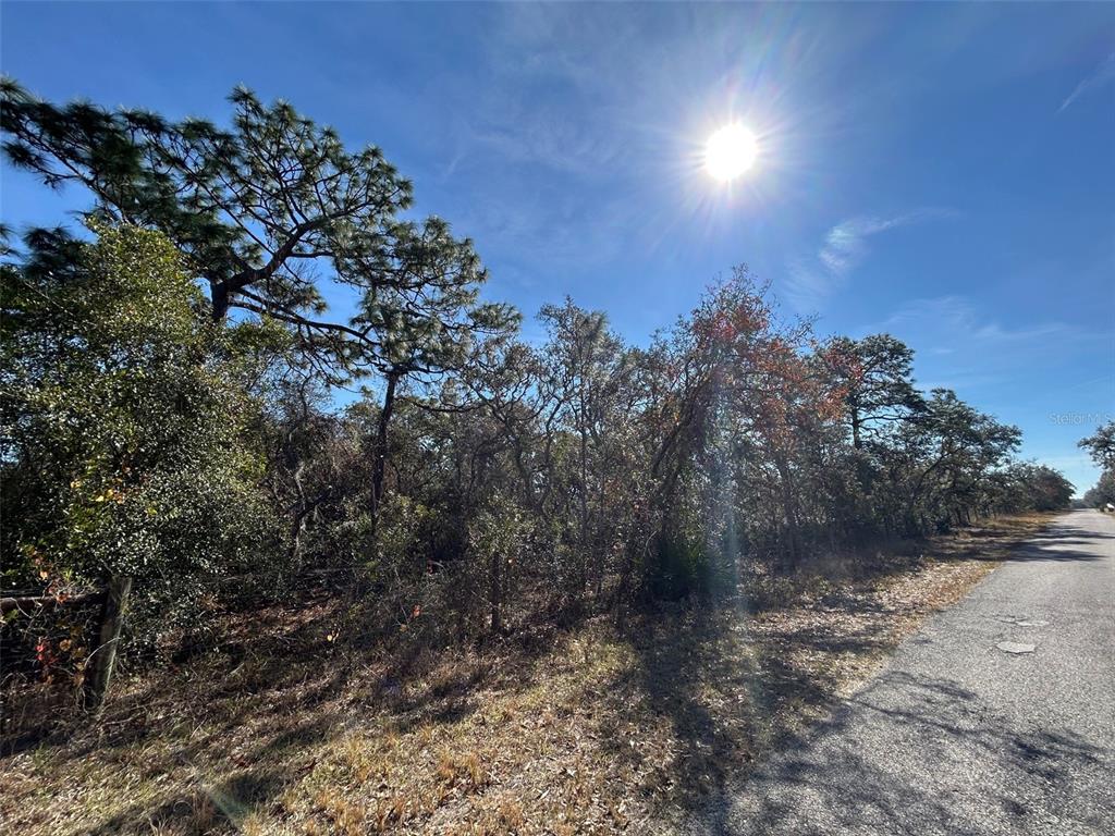 ACREAGE & UNREC - фото