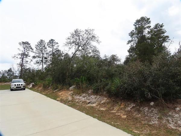 POINCIANA NBRHD 02 VILLAGE 08