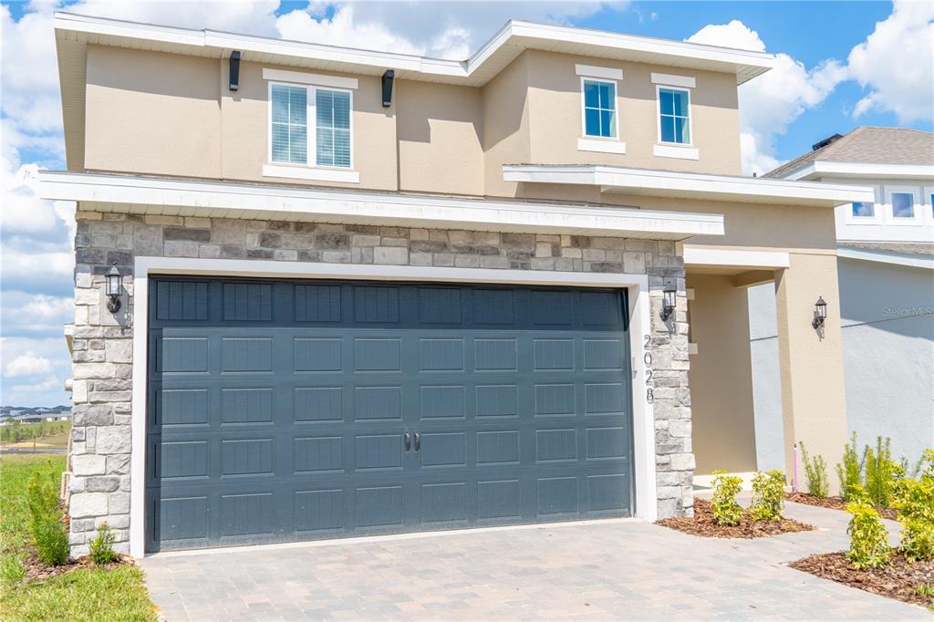 HILLS OF MINNEOLA - фото