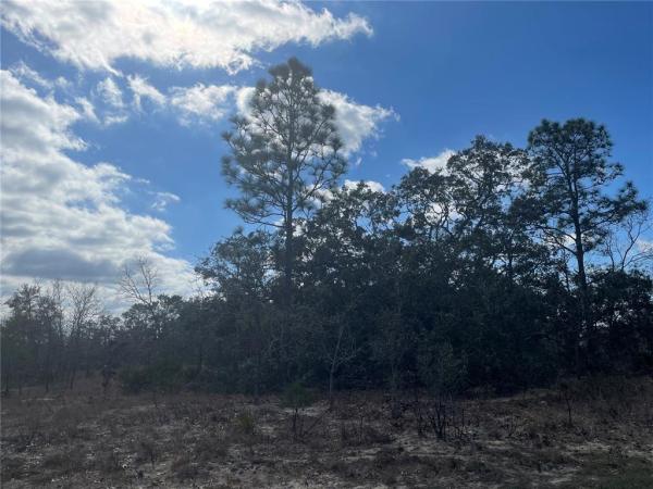 SUGARMILL WOODS OAK VILLAGE