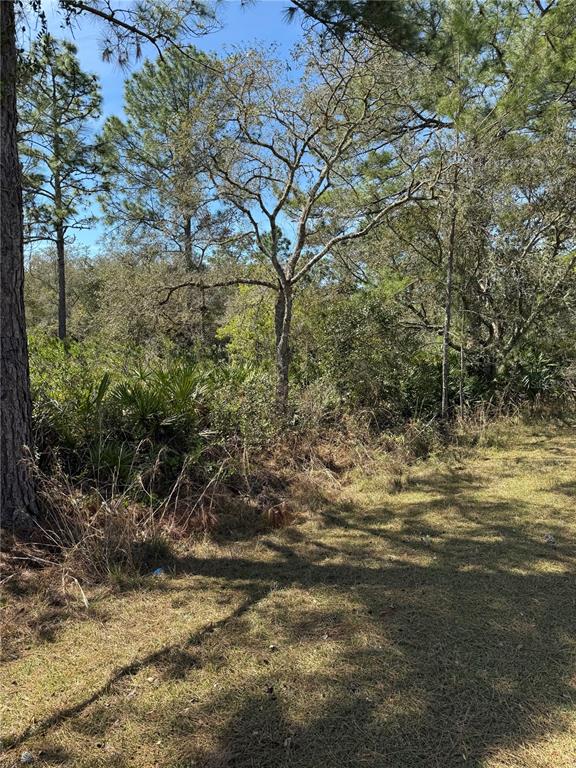 ROYAL TRAILS UNIT 01 - фото