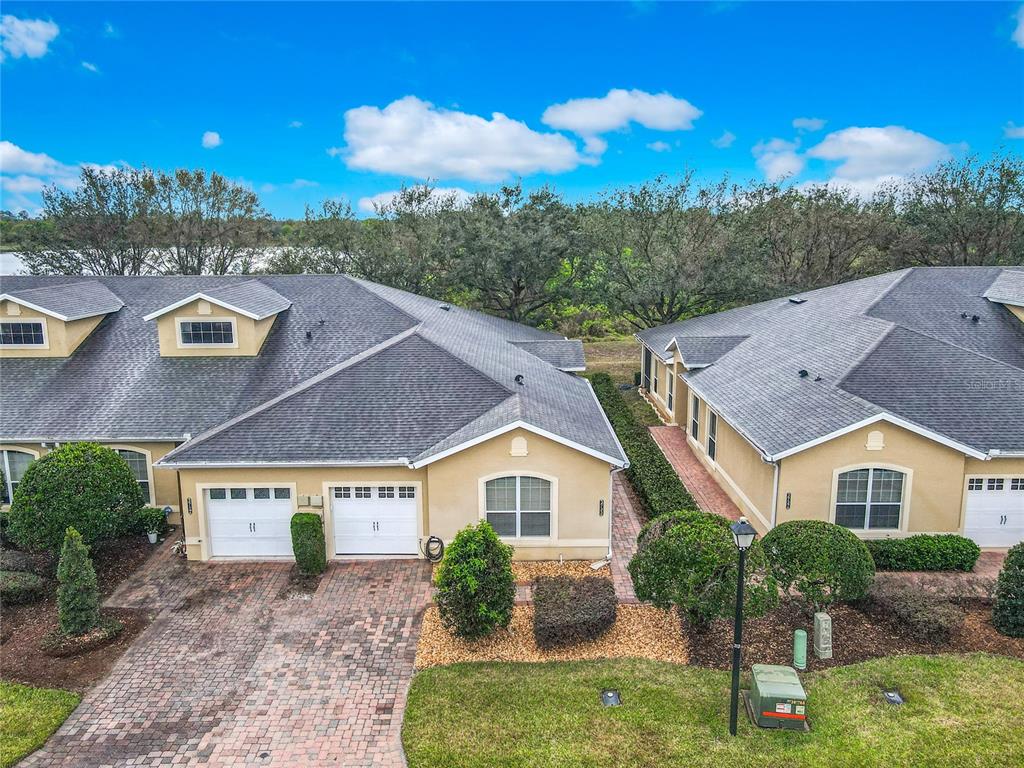 TRADITIONS PH 01 - фото