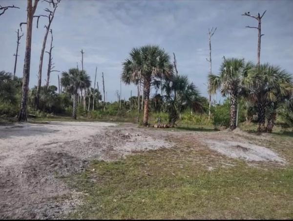 PORT CHARLOTTE SUB 46