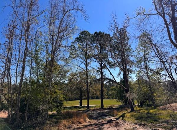 SOUTHERN HILLS PLANTATION PH 2