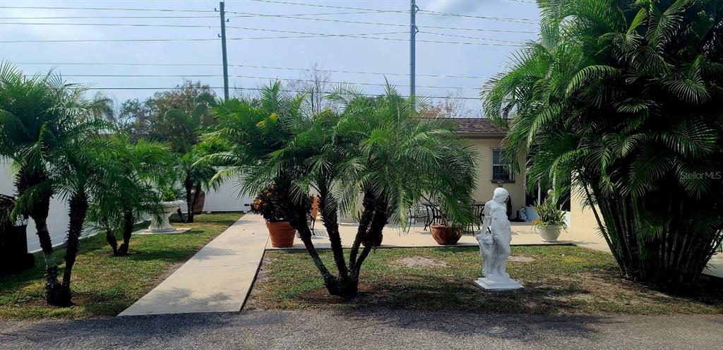 UNPLATTED - фото