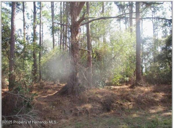 PLACID LAKES SEC 07 REP