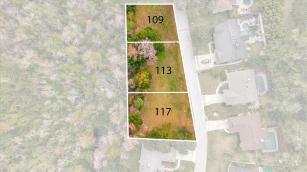 LONGWOOD GREEN AMENDED PLAT