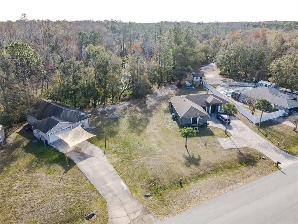 LAKE PADGETT PINES - фото