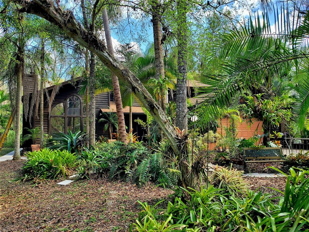 BLACK HAMMOCK - фото