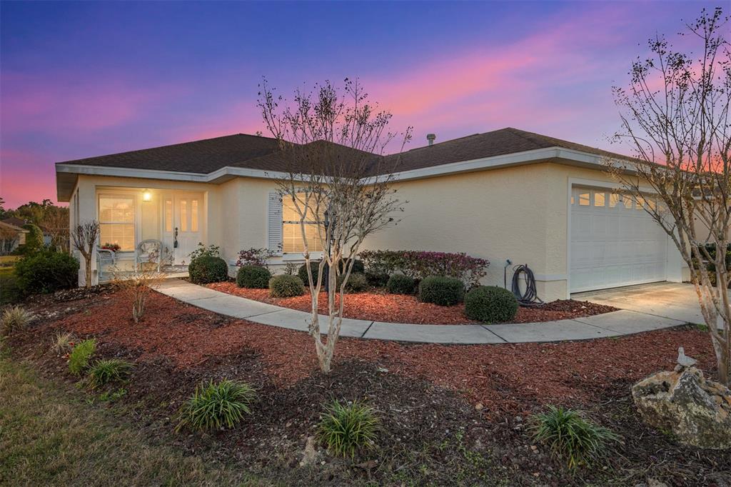 ON TOP OF THE WORLD - фото