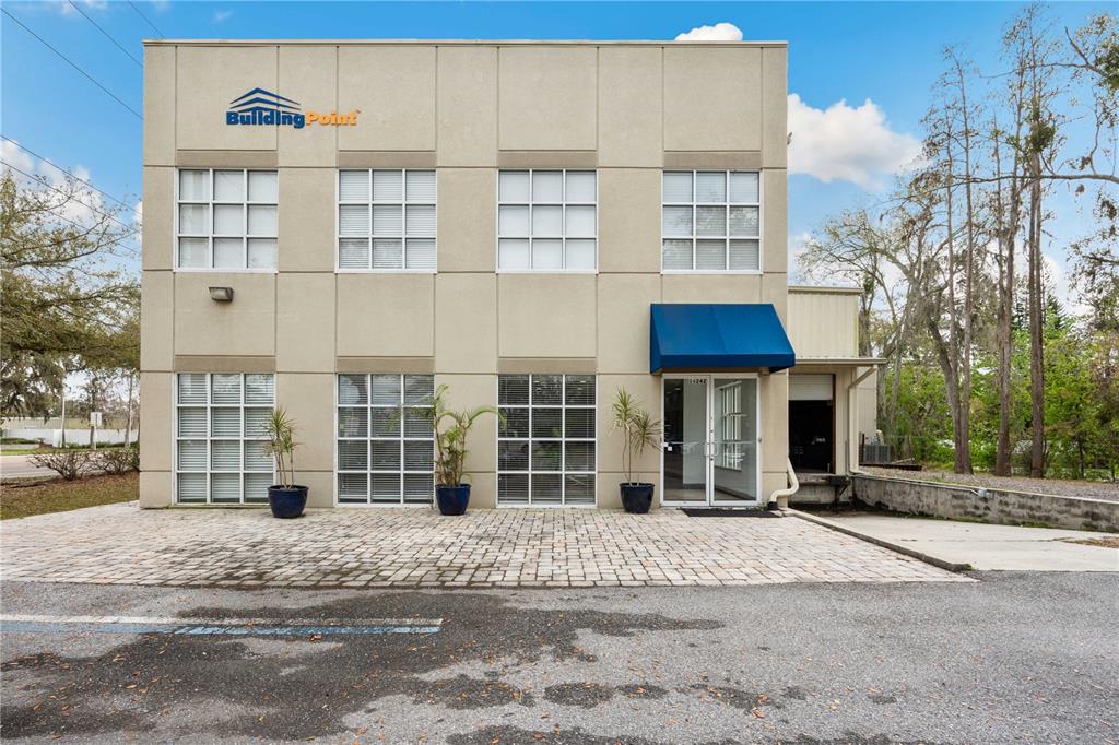 CYPRESS HEAD - фото