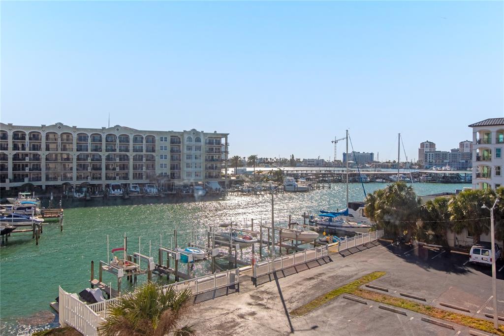 DOLPHIN COVE CLEARWATER - фото