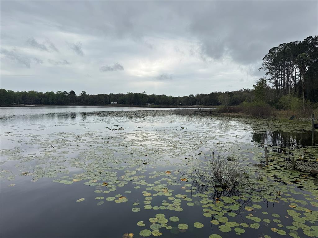 LAK A WANA LAKE GARDENS - фото