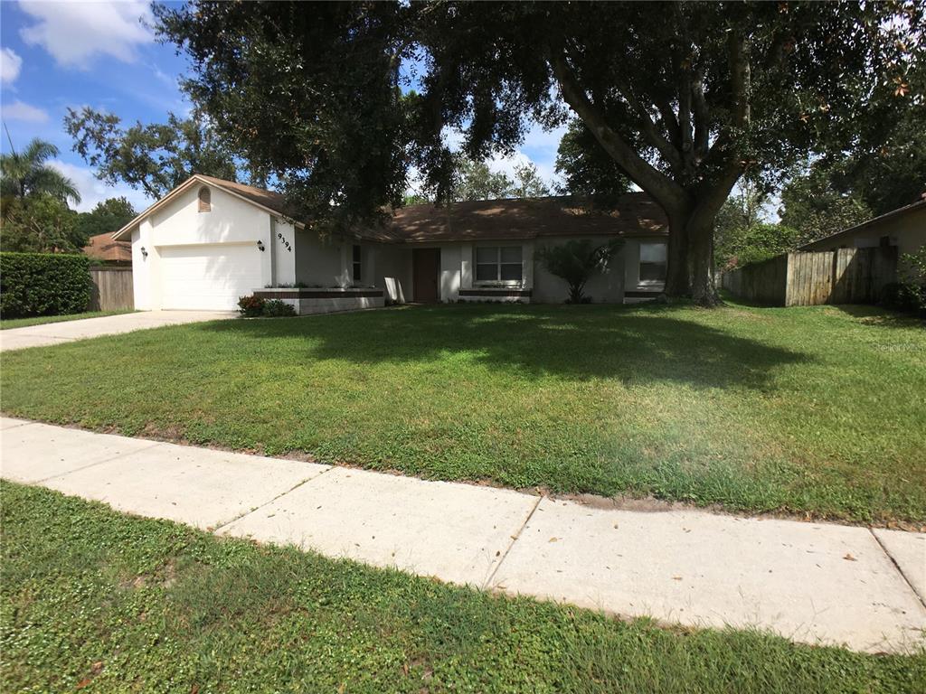 SILVER WOODS - фото