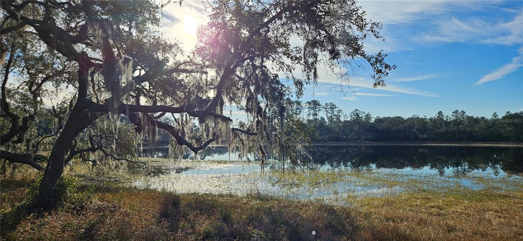 TWO POND FARMS ALS - фото