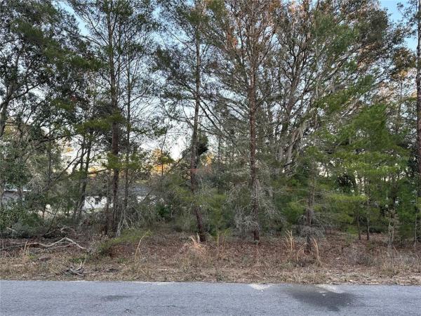 SILVER SPRINGS SHORES UNIT 35