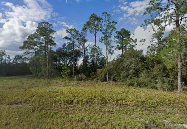 POINCIANA NBRHD 02 WEST VILLAGE 07