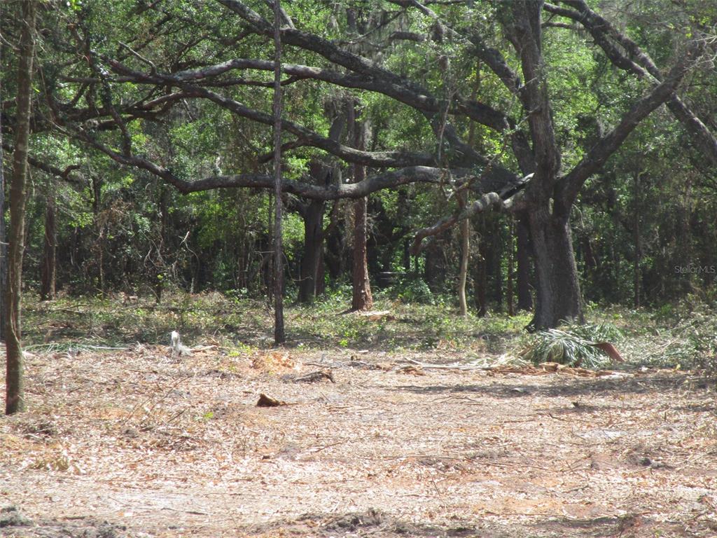 OAKFIELD ESTATES - фото