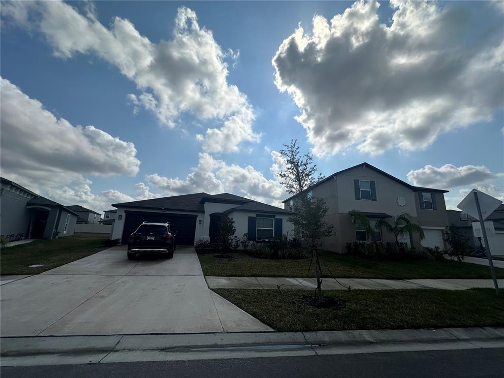 Single Family - фото