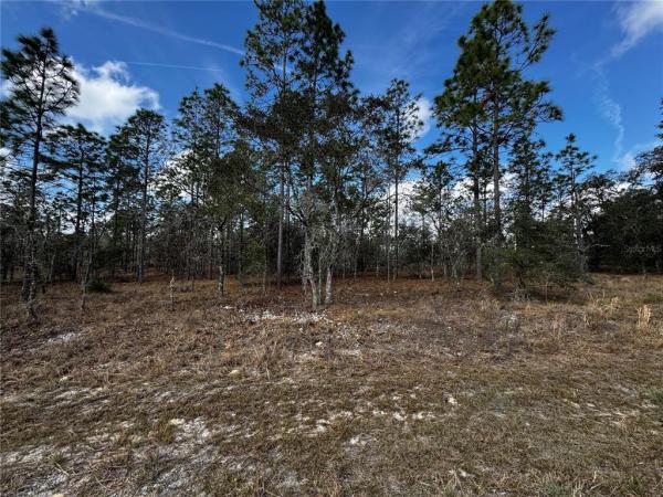 RAINBOW LAKES ESTATE