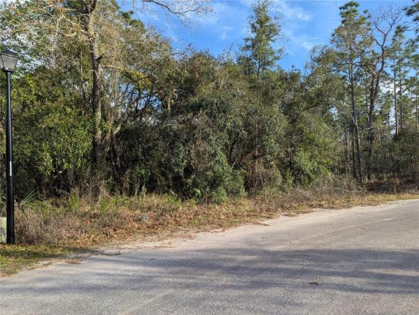 SUGARMILL WOODS CYPRESS VILLAGE