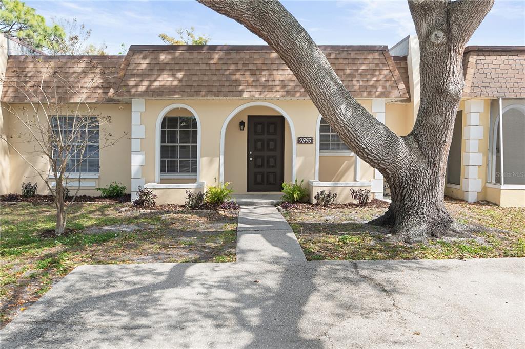 BENT TREE - фото