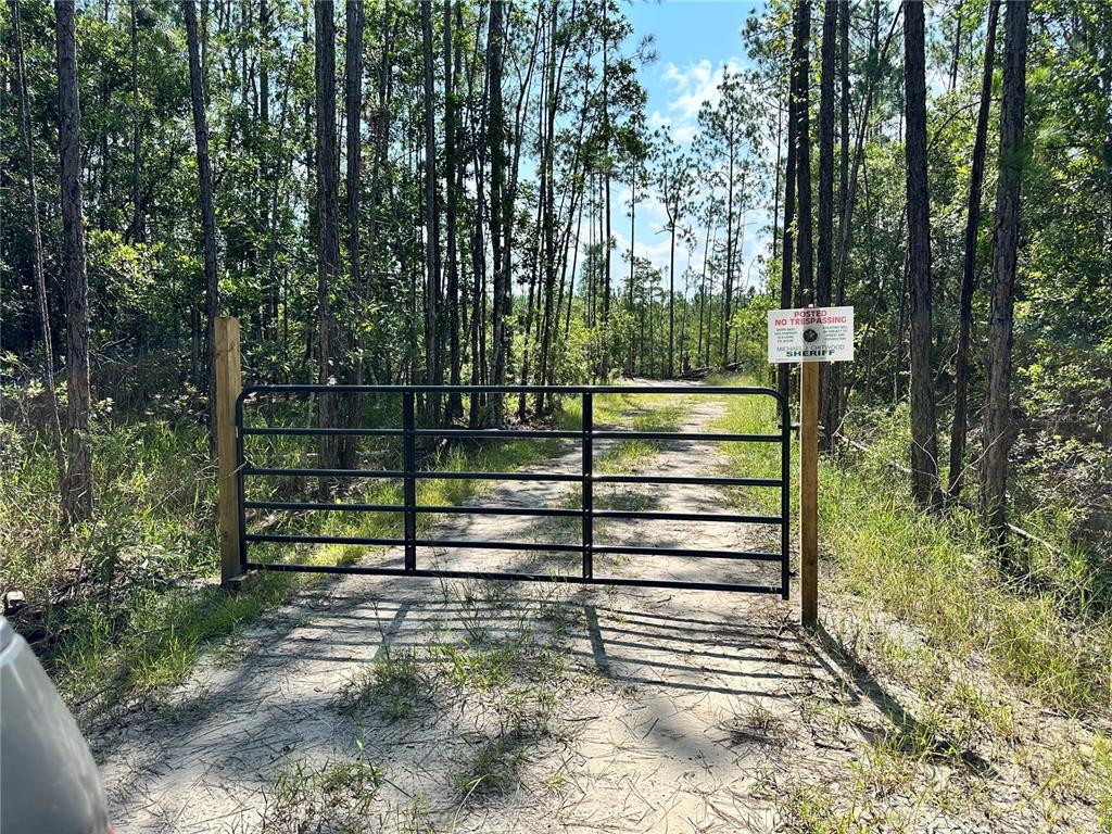 PLANTATION PINES UNREC 246 - фото