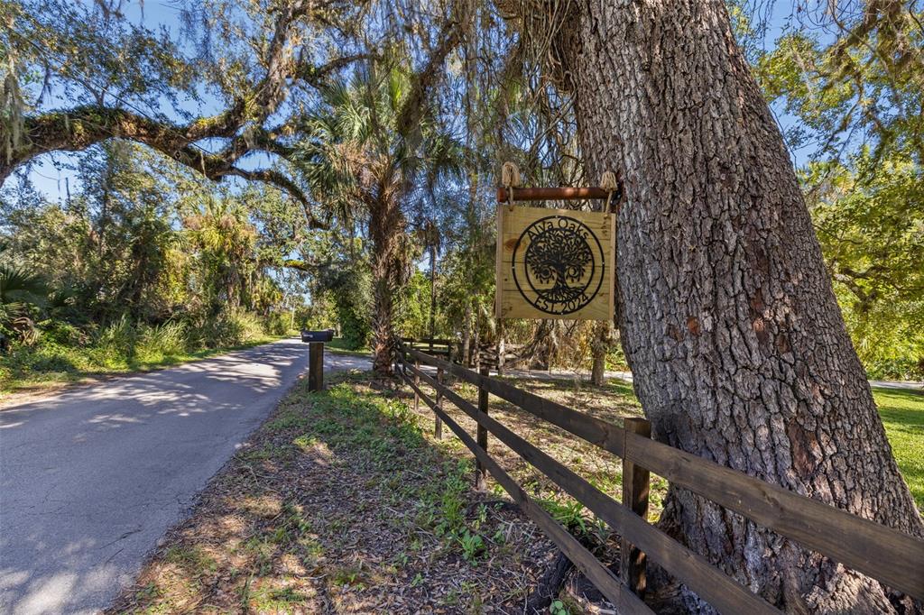 ALVA OAKS - фото