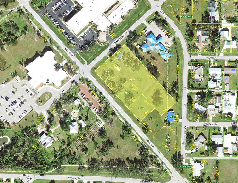 PUNTA GORDA - фото