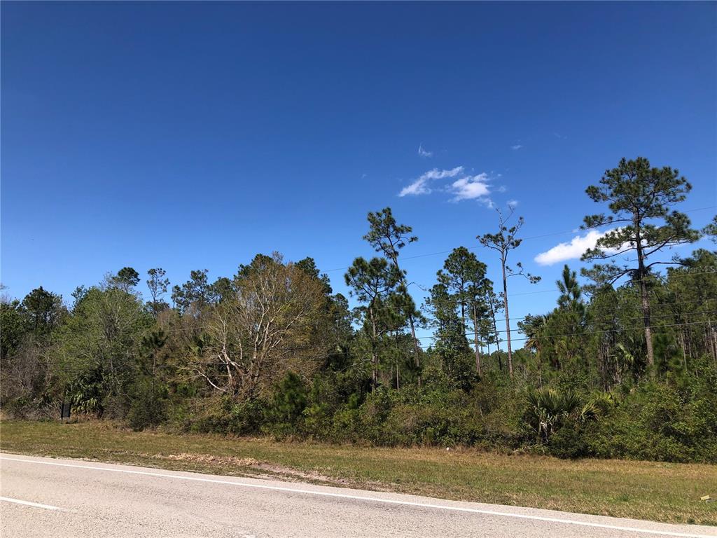 SEMINOLE POINTE - фото