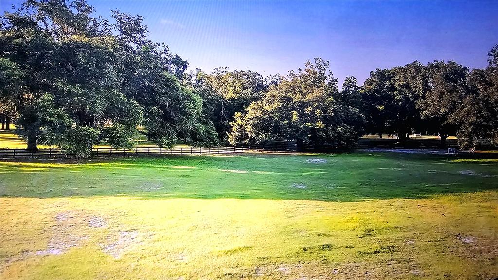 ARCHER FARMS - фото