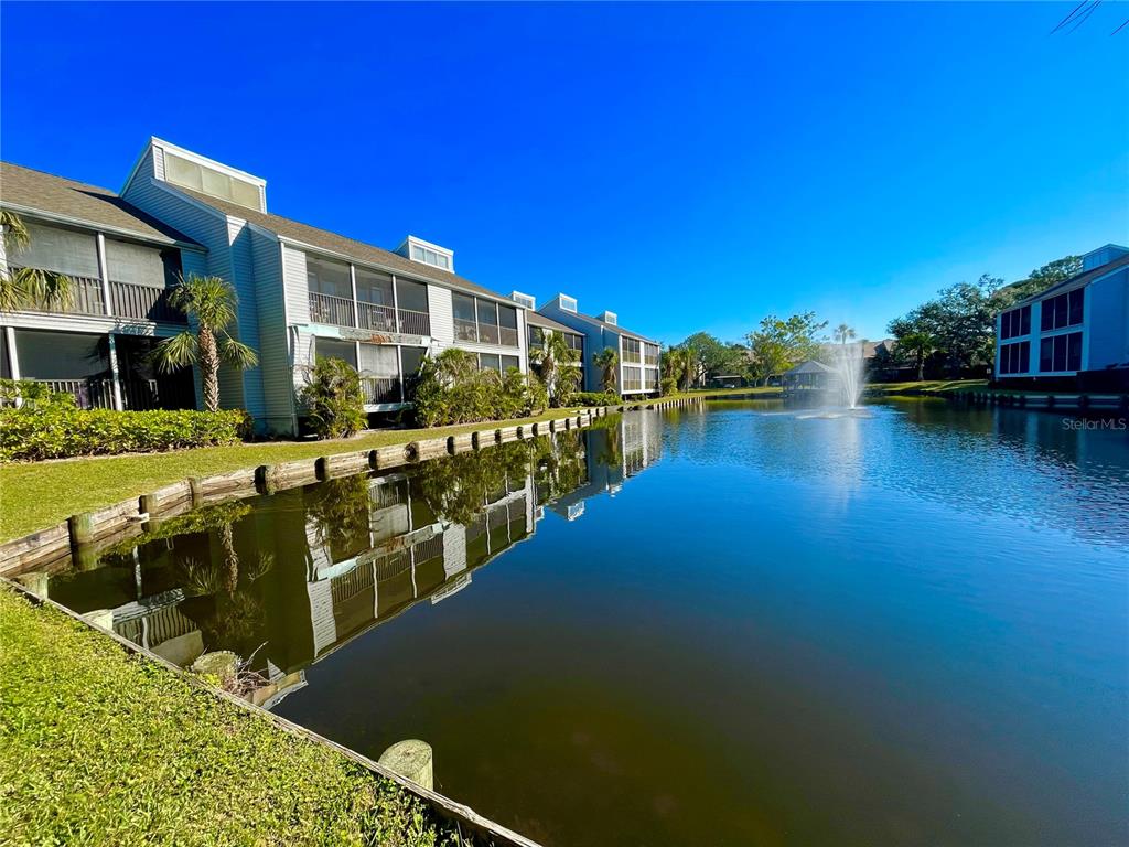 SAYBROOK MANOR - фото