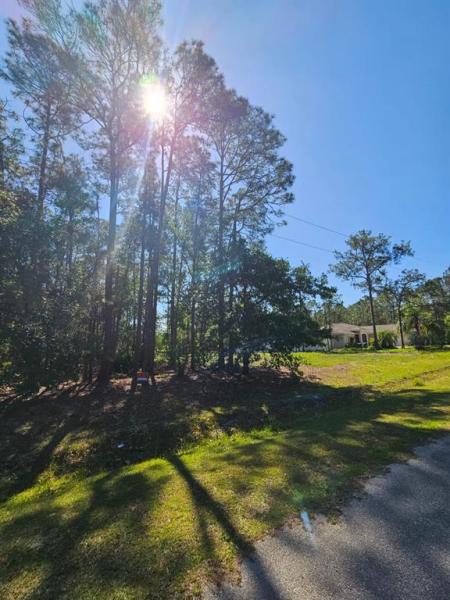 LAKE CALOOSA LANDING PH 04