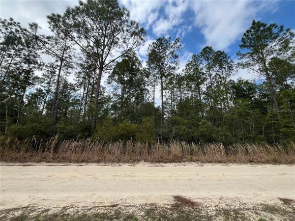 INTERLACHEN LAKES ESTATES