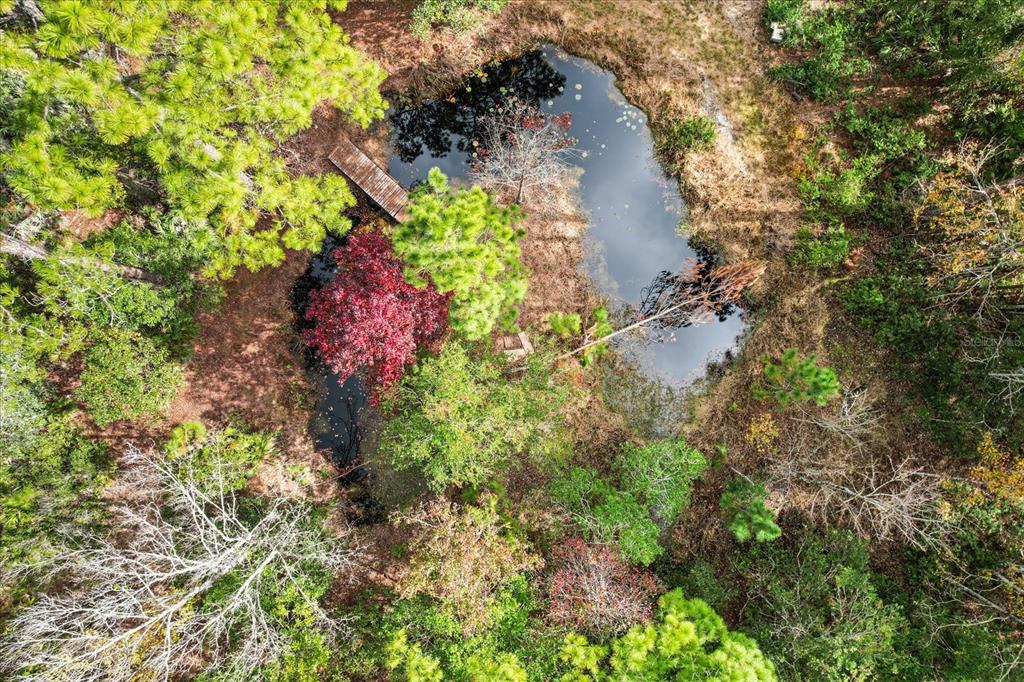 VILLA SITE ADD - фото