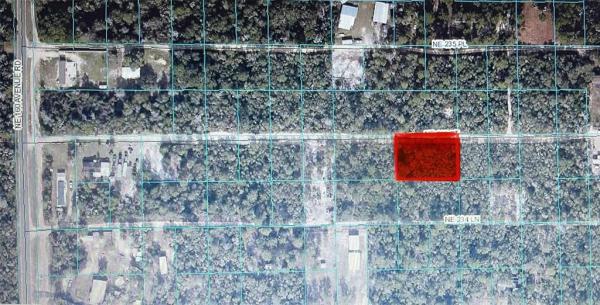 OCALA NATIONAL FOREST CAMPSITES