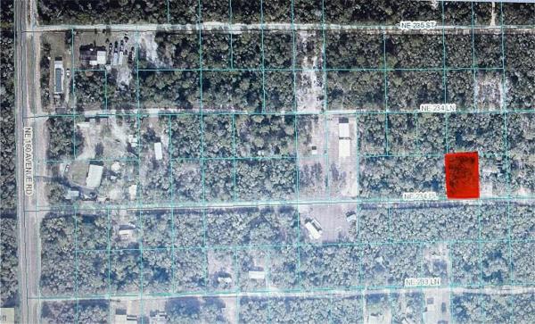 OCALA NATIONAL FOREST CAMPSITES