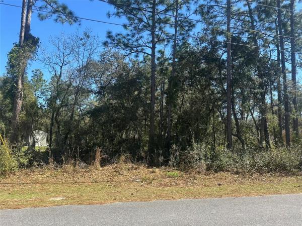 SILVER SPRINGS SHORES UNIT 20