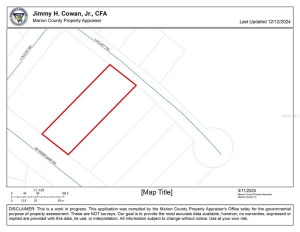 SILVER SPRINGS SHORES