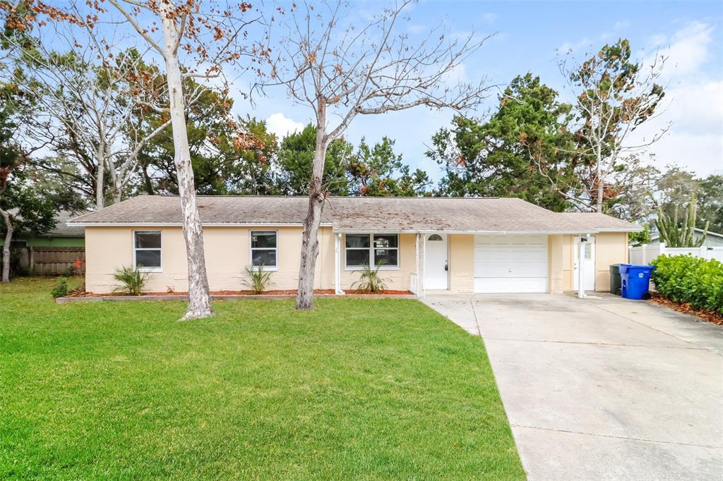 WINCHESTER PARK - фото