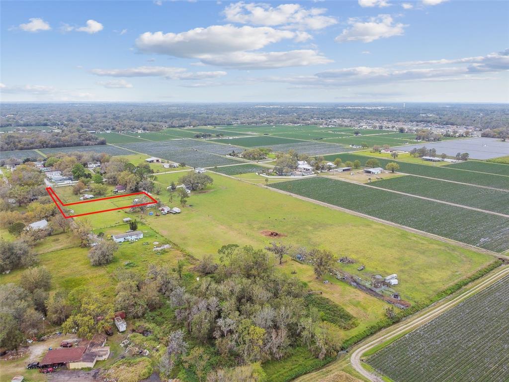 UNPLATTED - фото