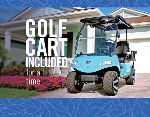 RENAISSANCE AT WELLEN PARK