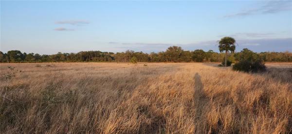 COMMERCIAL HIGHLANDS EAST