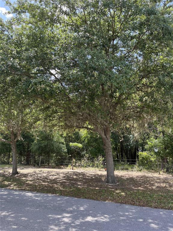 GRASS ROOTS ESTATES - фото