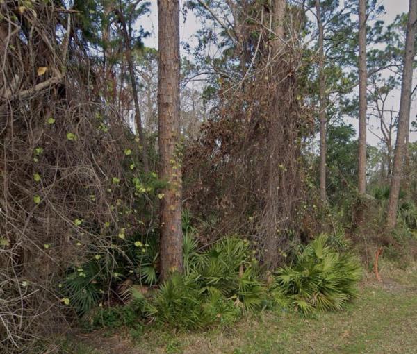 PALM COAST SEC 63