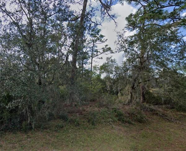 POINCIANA NBRHD 02 WEST VILLAGE 07