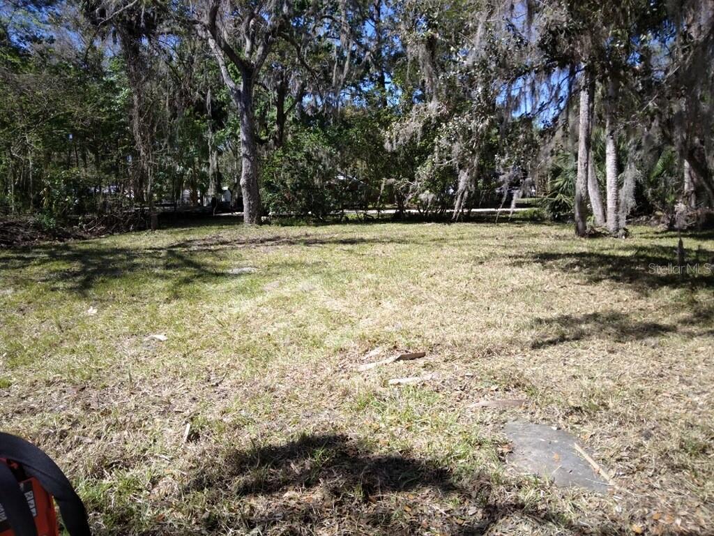 HOMOSASSA TOWN - фото