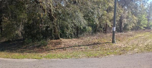 SILVER SPRINGS SHORES UNIT 42