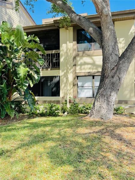 EAST LAKE WOODLANDS WOODLAKE RUN